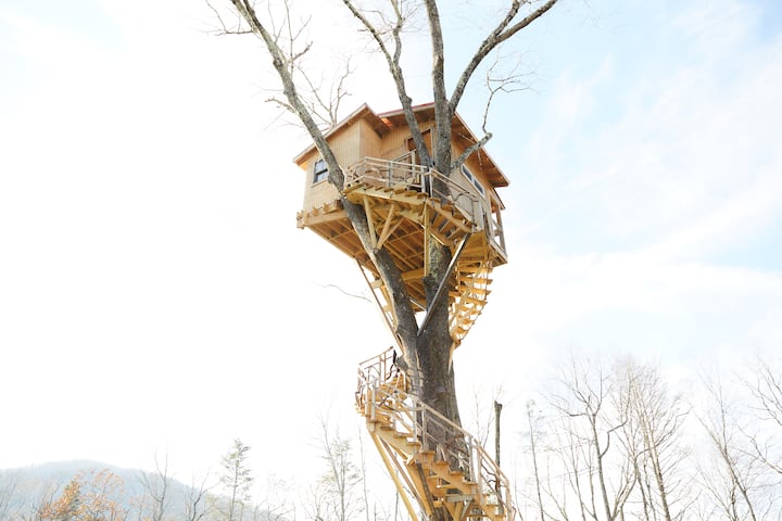 Spiral staircase to paradise: Your journey to the treetop retreat.