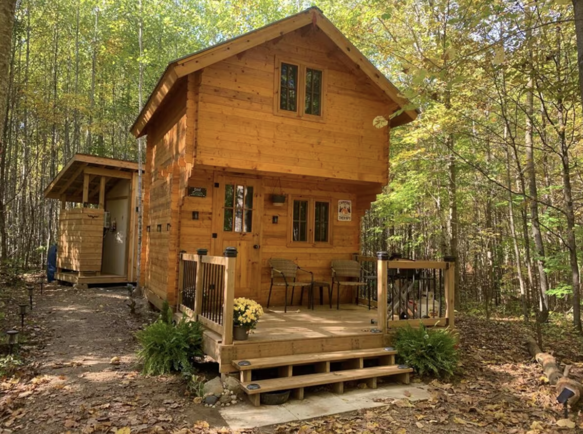 Off-Grid Bunkie Cabin on 200 Acres: A Closer Look